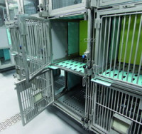 Клетка для 7 кг приматов с колесами, поддоном, чашкой для питья и еды и полом THF 2590 (Вариант 2)