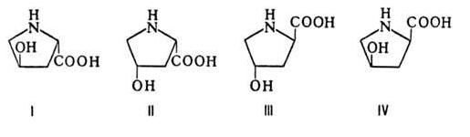 L-Оксипролин для биохимии
