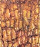Светло-каштановая солонцеватая тяжелосуглинистая почва, САКашП-04/2тм, ОСО 39603