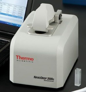 Спектрофотометр NanoDrop 2000C, Thermo