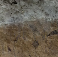 Дерново-подзолистая супесчаная почва, САДПП-08/6 тм, ОСО 10902