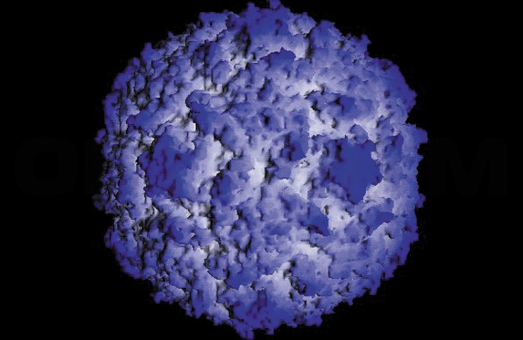 ИХТ "ENTEROVIRUS Тест" для выявления антигенов энтеровируса (20кассет)