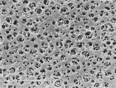 Мембранный фильтр из ацетата целлюлозы 11107-50-N, Sartorius