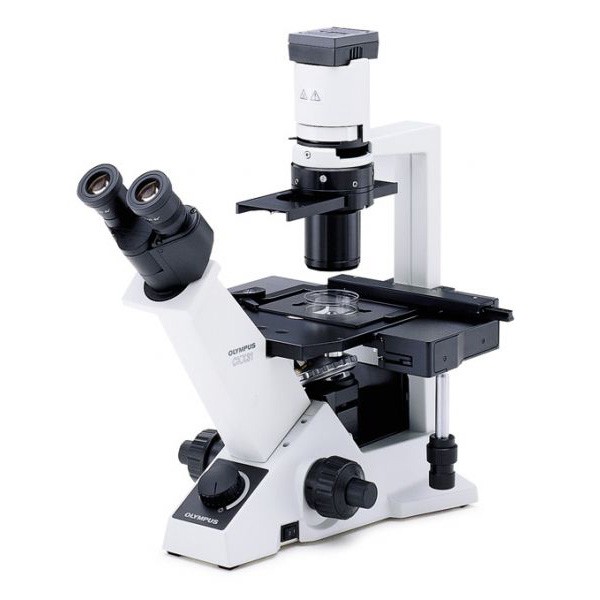 Микроскоп инвертированный CKX31, Olympus