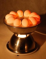 Овоскоп "Люкс" (для определения качества яиц)