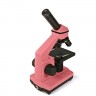 Микроскоп Levenhuk Rainbow 3L NG Rose\Роза