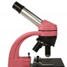 Микроскоп Levenhuk Rainbow 40L NG Rose\Роза