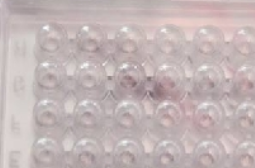 Планшет иммунологический, 96 лунок, круглодонный, стерильный, Россия