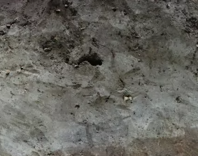 Дерново-подзолистая легкосуглинистая почва, САДПП-09/7 тм, ОСО 10801