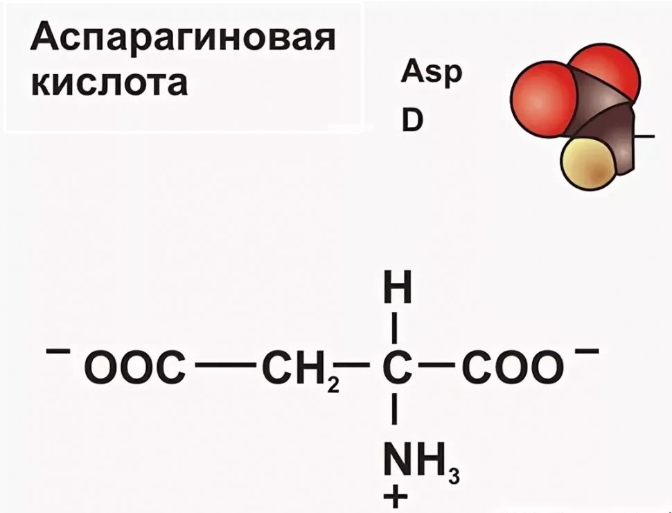 DL-Аспарагиновая кислота