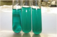 Буферный раствор с пептоном (pH 7.0), 500 г