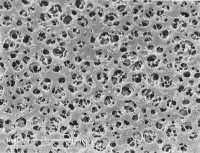Мембранный фильтр из ацетата целлюлозы 11105-50-N, Sartorius