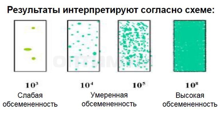 Микробиологические экспресс-тесты для определения КМАФАнМ (ОМЧ) и БГКП (с нейтрализатором дезсредств), двухсторонние, Dip-Slides, 10 шт/уп, Thermo FS