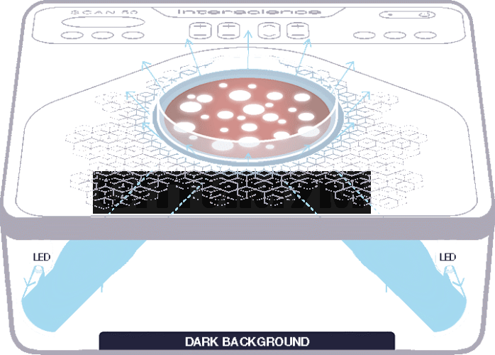 Счетчик колоний, полуавтоматический, Scan 50, Interscience