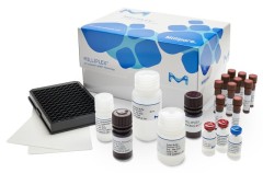 Набор для детекции маркеров нейродегенеративных заболеваний человека xMAP, Merck (Millipore, Sigma-Aldrich, Supelco)