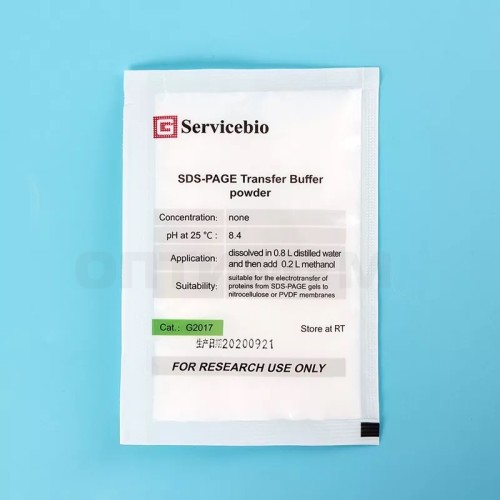 Буфер переноса для электрофореза (SDS-PAGE Transfer Buffer), Servicebio