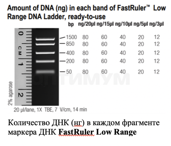 Маркер длин ДНК, FastRuler Low Range, 5 фрагментов от 50 до 1500 п.н., готовый к применению, Thermo FS