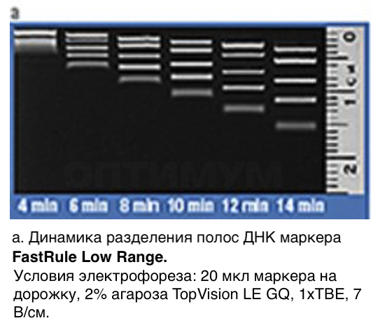 Маркер длин ДНК, FastRuler Low Range, 5 фрагментов от 50 до 1500 п.н., готовый к применению, Thermo FS