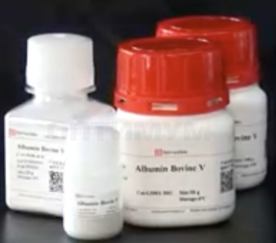 Набор Ultra-Sensitive ECL Chemiluminescence Kit, Servicebio