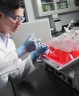 Мешок для культивирования клеток в шейкерах, 2 л, EVA/LDPE, Corning