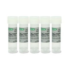 Супермикс iTaq Universal SYBR Green, Bio-Rad