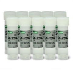 Мастер-микс для количественной ПЦР в режиме реального времени iTaq Universal Probes Supermix, Bio-Rad