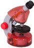 Микроскоп Levenhuk LabZZ M101 Lime\Лайм