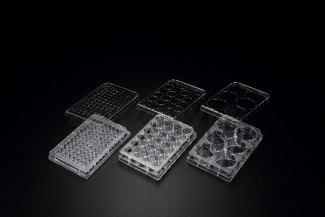Планшеты культуральные 24-луночные, 3D, с низкой адгезией, Cell Floater, 1 уп./5 шт., SPL