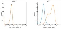 Антитела Anti-Mouse IgG (H+L) козьи, поликлональные, конъюгированные с TRITC, ABclonal