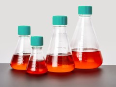 Колба Эрленмейера, ПК, с крышкой, стерильная, Jet Biofil