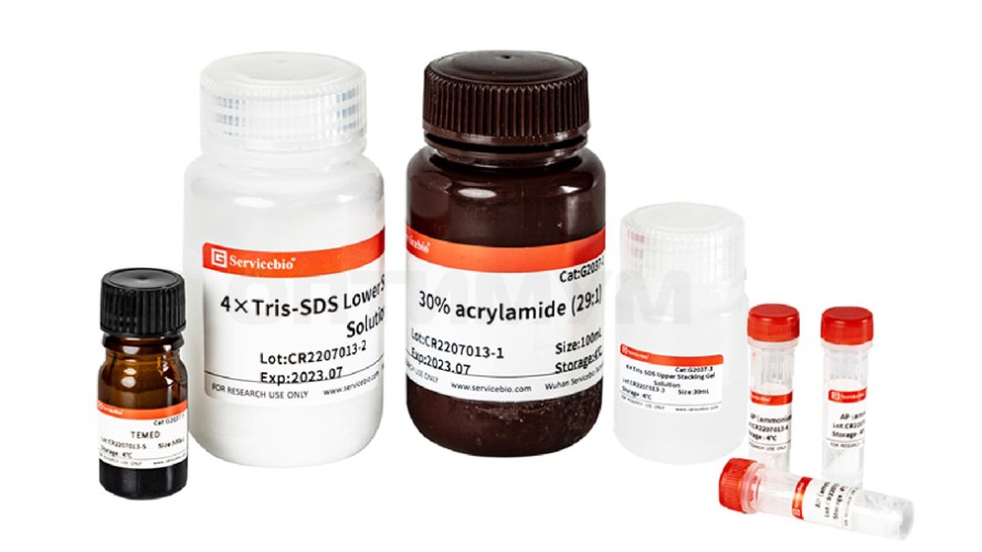 Набор реагентов для заливки гелей SDS-PAGE Fast Acrylamide Kit, 50 гелей, Servicebio