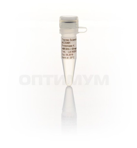 Протеиназа К, рекомбинантная, PCR-grade, 20 мг/мл, Thermo FS