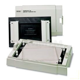 Система для блоттинга Trans-Blot SD Semy-Dry Transfer Cell, площадь, 240х160 мм, Bio-Rad