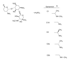 Гентамицин сульфат для лабораторных исследований, CAS 1405-41-0, CDH, Индия