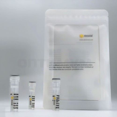 Антитела Anti-Goat IgG (H+L) ослиные, поликлональные, коньюгированные с HPR, ABclonal