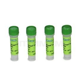 Буфер для ПЦР iProof HF, для высокоточной амплификации, 5-кратный, Bio-Rad
