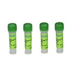 Буфер для ПЦР iProof HF, для высокоточной амплификации, 5-кратный, Bio-Rad