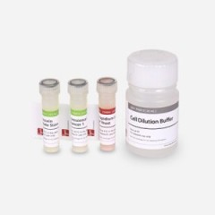 Набор для определения жизнеспособности дрожжей, Logos Biosystems
