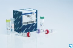 Мастер-микс для амплификации длинных фрагментов LongRange PCR Kit, Qiagen