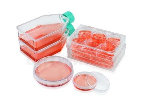 Флаконы культуральные 75 см2 с низкой адгезией, 3DSphearo, 1 уп./60 шт., Jet Biofil
