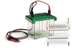 Камера Mini-PROTEAN Tube Cell, Bio-Rad
