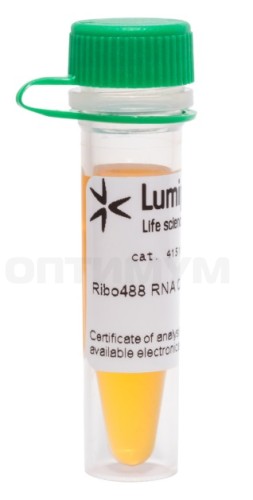 Набор для определения концентрации РНК Ribo488, Lumiprobe