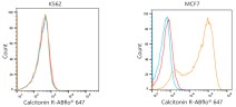 Антитела Anti-Mouse IgG (H+L) козьи, поликлональные, конъюгированные с ABflo 647, ABclonal