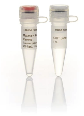 Транскриптаза обратная Maxima H minus, Thermo FS