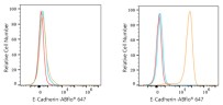 Антитела Anti-Rabbit IgG (H+L) козьи, поликлональные, коньюгированые с ABflo 647, ABclonal