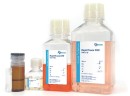 RapidTrans CHO Kit для транзиентной трансфекции CHO, Bioengine