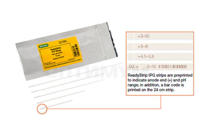 Стрип IPG готовый, 17 см, pH 7-10, 12 шт/уп, Bio-Rad