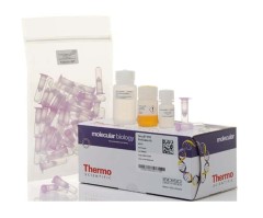 Набор для очистки продуктов ПЦР GeneJET Gel Extraction and DNA Cleanup Micro Kit (арт. K0702), Thermo FS