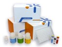 Панель для профилирования ми-РНК, Multiplex miRNA Assay Cardiology Panel - Circulating, Abcam