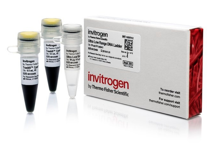 Маркер длин ДНК, Ultra Low Range, 9 фрагментов от 10 п.н. до 300 п.н., 0,5 мкг/мкл, Thermo FS